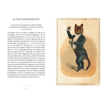 Le petit livre des chats + cartes postales