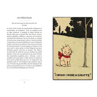 Le petit livre des chats + cartes postales