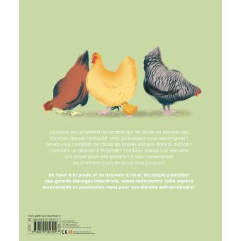 Poules