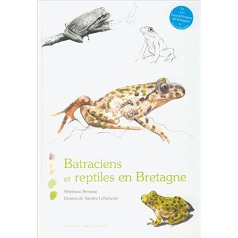 Batraciens et reptiles en Bretagne