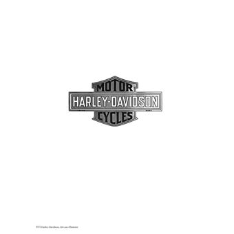 120 ans de Harley Davidson