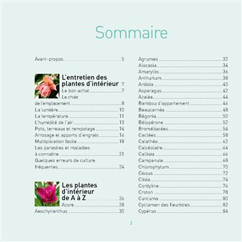 Que du bonheur avec mes plantes d intérieur