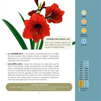 Que du bonheur avec mes plantes d intérieur