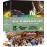 Coffret The Wonderful Worlds of Ray Harryhausen Volume One: 1955-1960 Blu-ray_0
