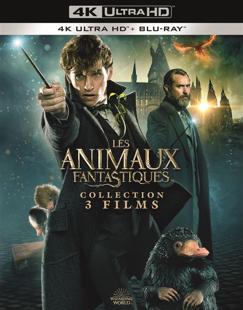 ChocoBonPlan on X: Coffret Blu Ray 4K + Blu Ray Harry Potter + Les Animaux  Fantastiques à 14,36 € au lieu de 49,99 € sur Leclerc  👉 Contient : - Harry Potter