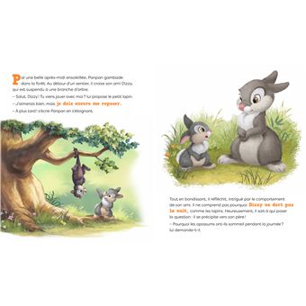 DISNEY - Les nouvelles histoires de Panpan - Bonne nuit, Panpan !