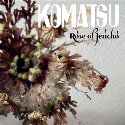 Rose Of Jericho Vinyle Coloré