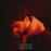 Toutes les Nuits du Monde_1