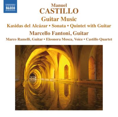 Castillo: Guitar Music