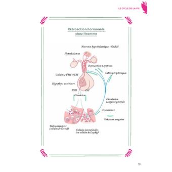 Contrôler sa fertilité au naturel, contraception et conception. Contrôler sa fertilité