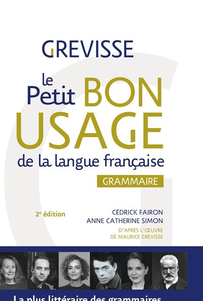 Le petit Bon usage de la langue française - Cédrick Fairon - broché
