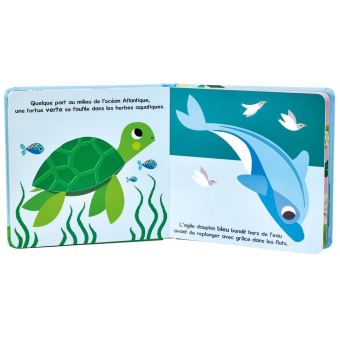 Bonjour les couleurs !