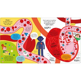 Explore... Le corps humain