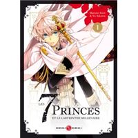 Les 7princes et le labyrinthe millénaire - vol. 01