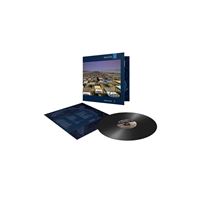 A Momentary Lapse Of Reason - LP