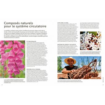 Les plantes qui soignent