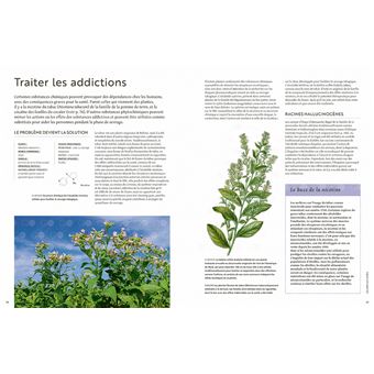 Les plantes qui soignent