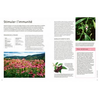 Les plantes qui soignent