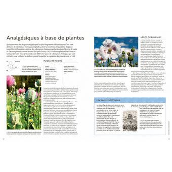 Les plantes qui soignent
