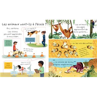 Pourquoi je dois aller à l'école ? - C'est quoi...?