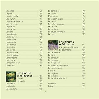 Envie de tout planter dans mon potager