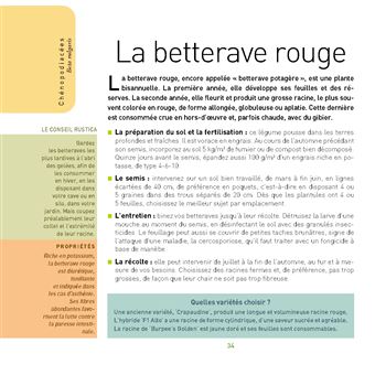 Envie de tout planter dans mon potager