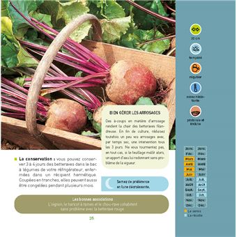 Envie de tout planter dans mon potager