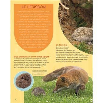 Les animaux de la campagne