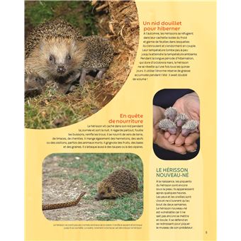 Les animaux de la campagne