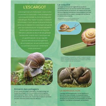 Les animaux de la campagne