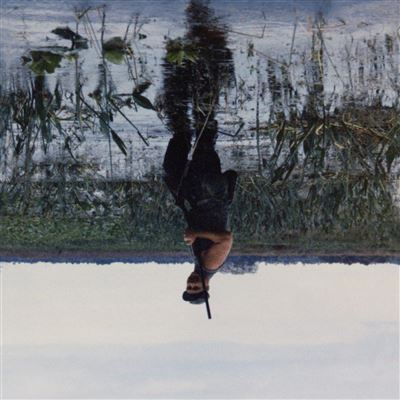 Animal Drowning Vinyle Opaque
