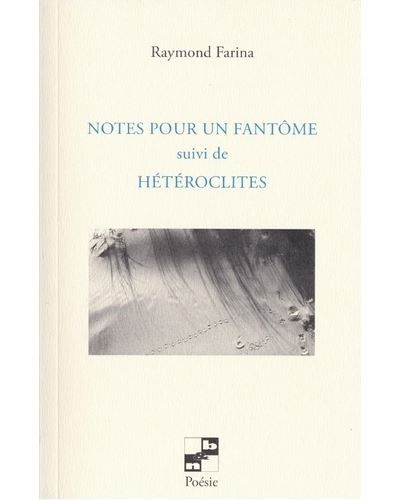Notes pour un fantôme