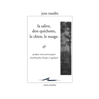 La salive, Don Quichotte, le chien, le nuage... et quelques autres petits paquets de philosophie clinique et appliquée