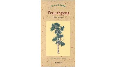 L'eucalyptus