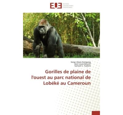 Gorilles de plaine de l'ouest au parc national de lobeke au