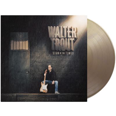 Sign Of The Times Édition Limitée Vinyle Marron Doré