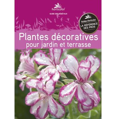 Plantes décoratives pour jardin et terrasse