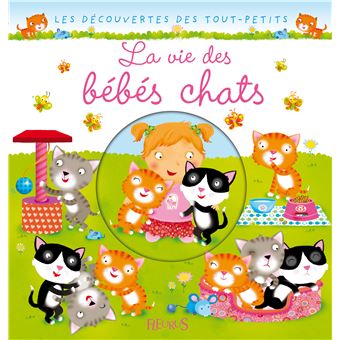 La Vie Des Bebe Chats Cartonne Nathalie Belineau Emilie Beaumont Chiara Bordoni Achat Livre Ou Ebook Fnac