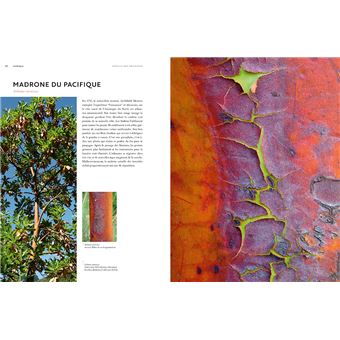 Écorces - Voyage dans l'intimité des arbres du monde