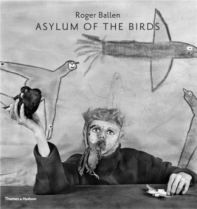 ASYLUM OF THE BIRDS
