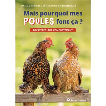 Mais pourquoi mes poules font ça ?