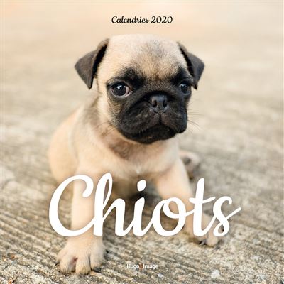 Calendrier mural Chiots 2020