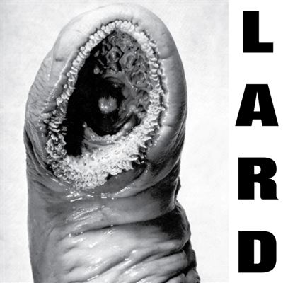 Power Of Lard