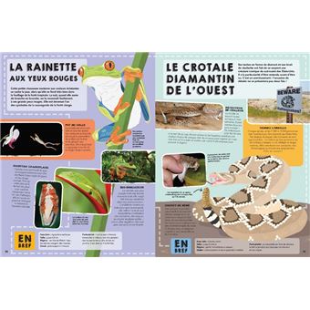 Lonely Planet Junior - Le Guide des animaux