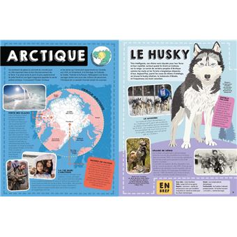 Lonely Planet Junior - Le Guide des animaux