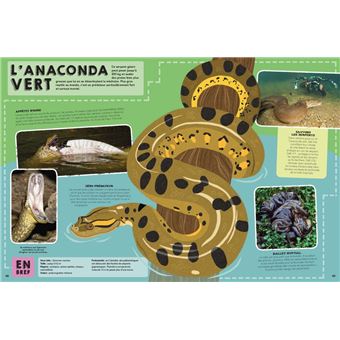Lonely Planet Junior - Le Guide des animaux
