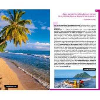 Guide du Routard Martinique  2020