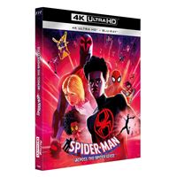Spider-Man Coffret Spider-Man : New Generation + Across The Spider-Verse  DVD - DVD Zone 2 - Bob Persichetti - Peter Ramsey - Rodney Rothman - Oscar  Isaac - Hailee Steinfeld : toutes les séries TV à la Fnac