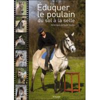 Éduquer le poulain du sol à la selle