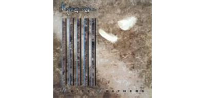 White feathers/pochette cartonnee